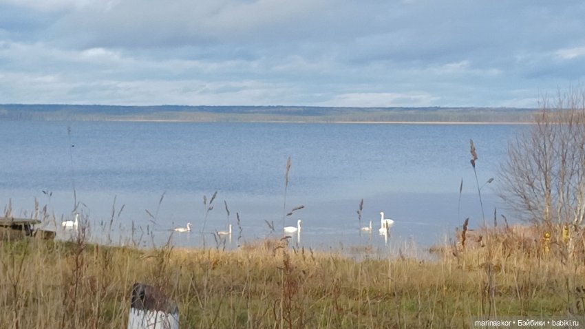 Некрасовское — Туризм и путешествия: фотоотчеты из поездок