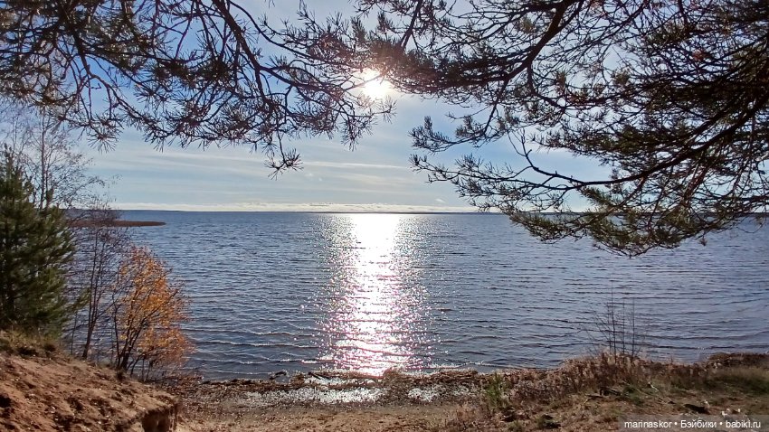 Некрасовское — Туризм и путешествия: фотоотчеты из поездок