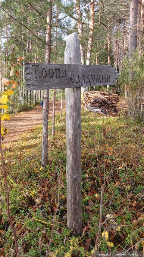 Некрасовское — Туризм и путешествия: фотоотчеты из поездок