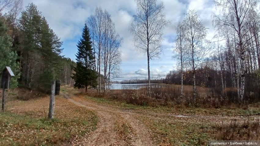 Некрасовское — Туризм и путешествия: фотоотчеты из поездок (фото 6)