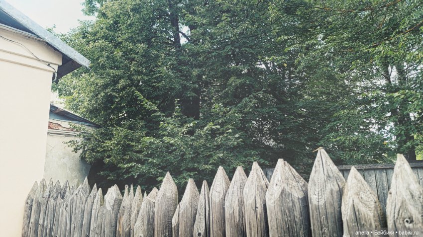 Дик. Бежецк — Экшн