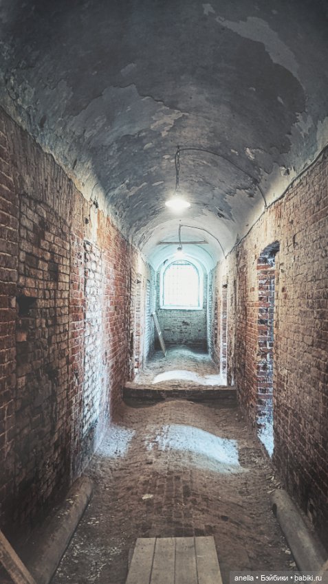 Дик. Бежецк — Экшн