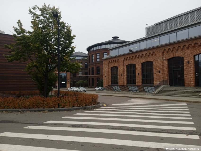 Аня "Умницы" Весна на Курском (фото 5)