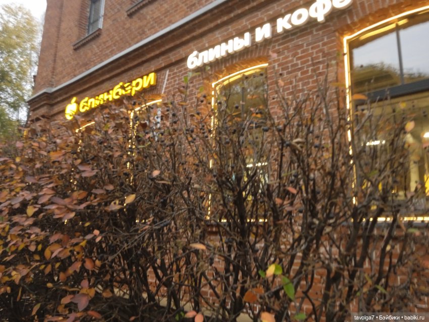 Аня "Умницы" Весна на Курском