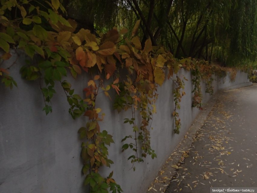 Аня "Умницы" Весна на Курском