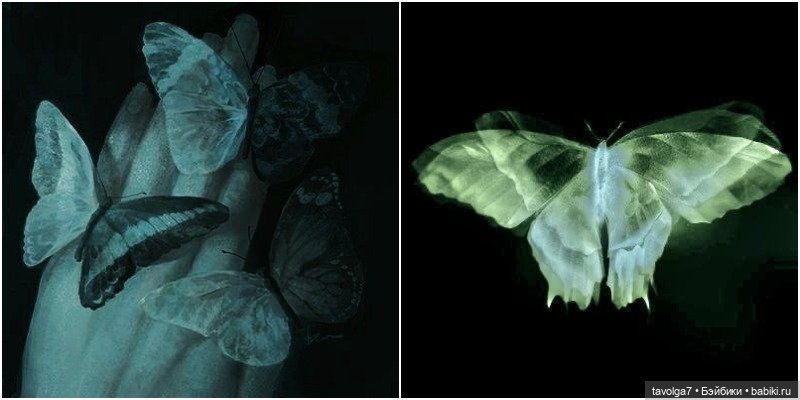 Хэллоуин от профи — Культура