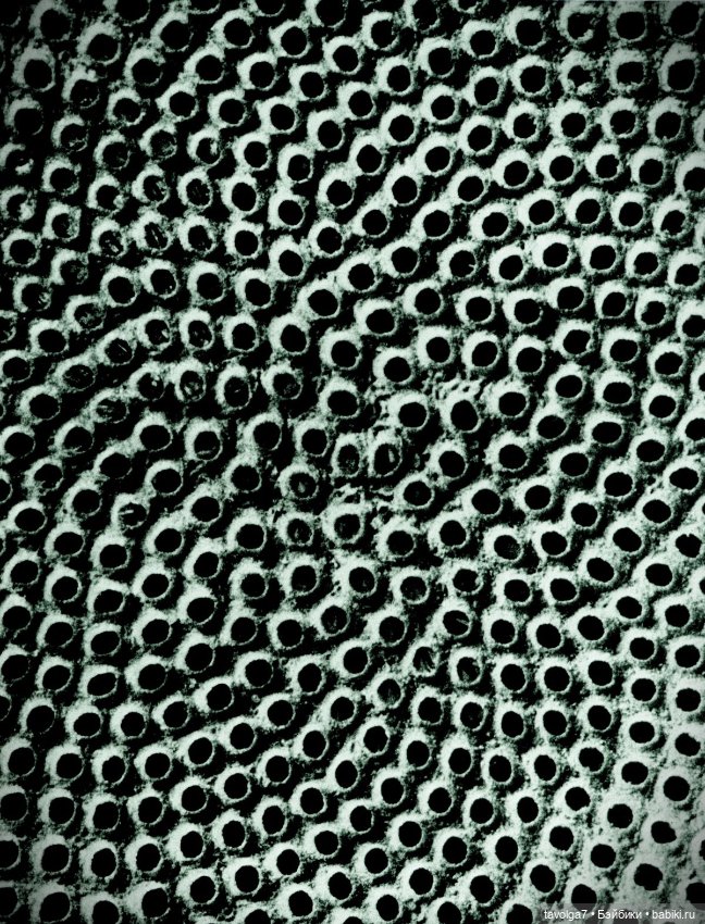 Хэллоуин от профи — Культура