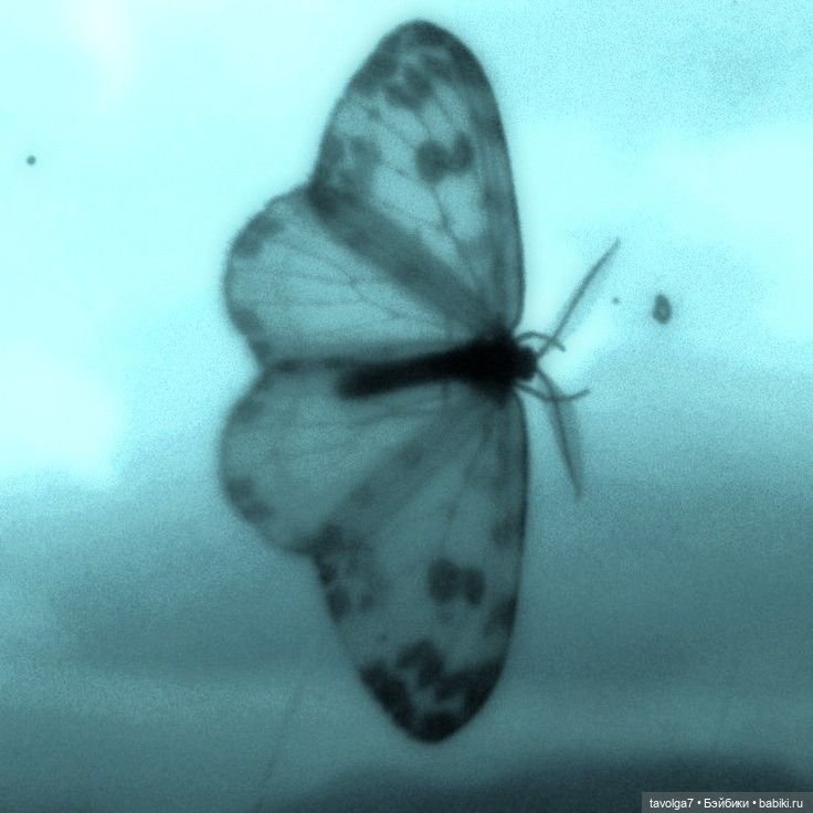 Хэллоуин от профи — Культура