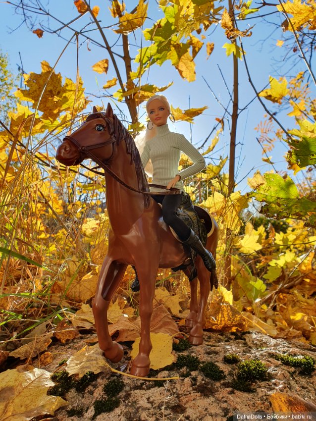 🐴 🍂🍁Конная прогулка и обзор на коня Defa Lusy (фото 2)