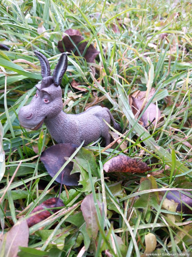 Скакун арабский. Одомашненый