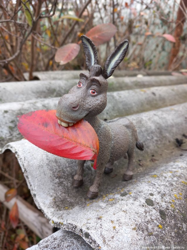Скакун арабский. Одомашненый