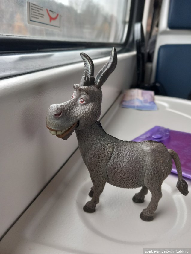 Скакун арабский. Одомашненый