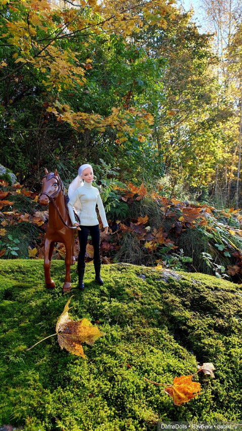 🐴 🍂🍁Конная прогулка и обзор на коня Defa Lusy