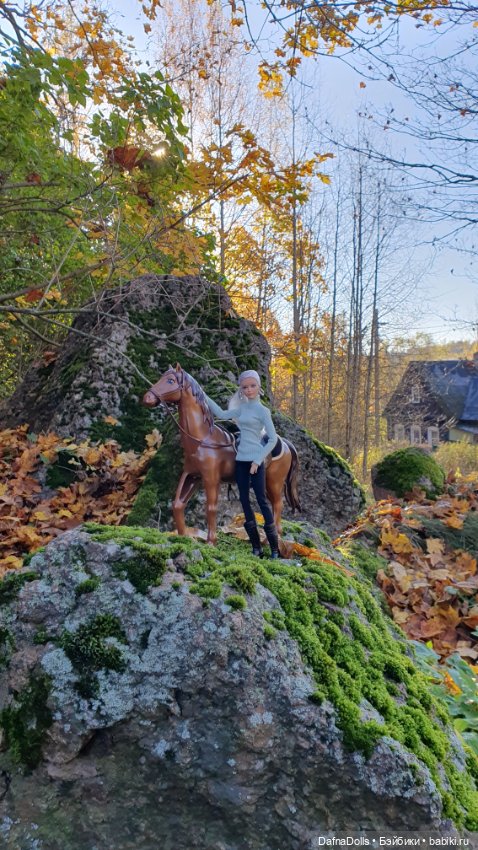 🐴 🍂🍁Конная прогулка и обзор на коня Defa Lusy