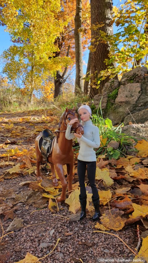 🐴 🍂🍁Конная прогулка и обзор на коня Defa Lusy (фото 3)