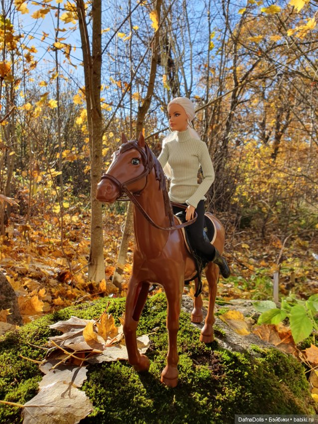 🐴 🍂🍁Конная прогулка и обзор на коня Defa Lusy