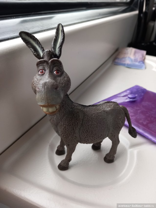 Скакун арабский. Одомашненый