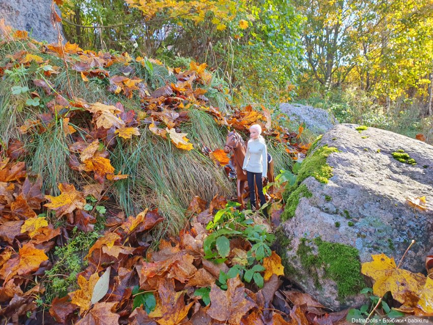 🐴 🍂🍁Конная прогулка и обзор на коня Defa Lusy