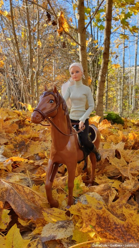 🐴 🍂🍁Конная прогулка и обзор на коня Defa Lusy