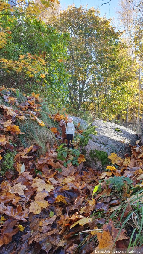 🐴 🍂🍁Конная прогулка и обзор на коня Defa Lusy