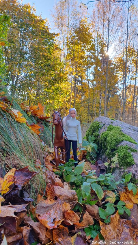 🐴 🍂🍁Конная прогулка и обзор на коня Defa Lusy