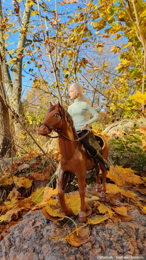 🐴 🍂🍁Конная прогулка и обзор на коня Defa Lusy (фото 7)