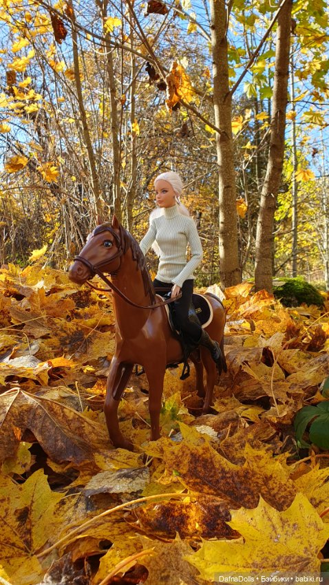 🐴 🍂🍁Конная прогулка и обзор на коня Defa Lusy