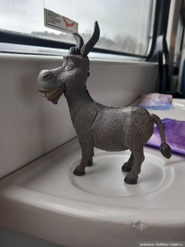 Скакун арабский. Одомашненый