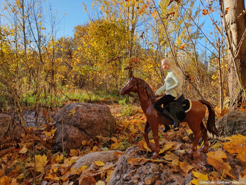 🐴 🍂🍁Конная прогулка и обзор на коня Defa Lusy (фото 9)
