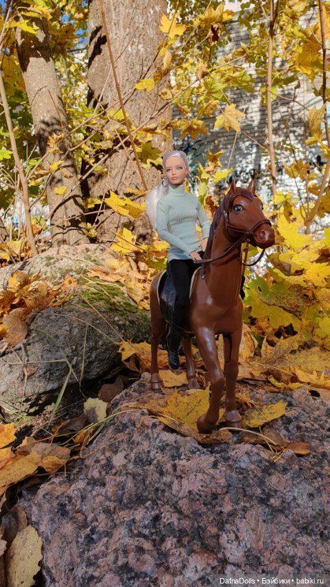 🐴 🍂🍁Конная прогулка и обзор на коня Defa Lusy (фото 6)