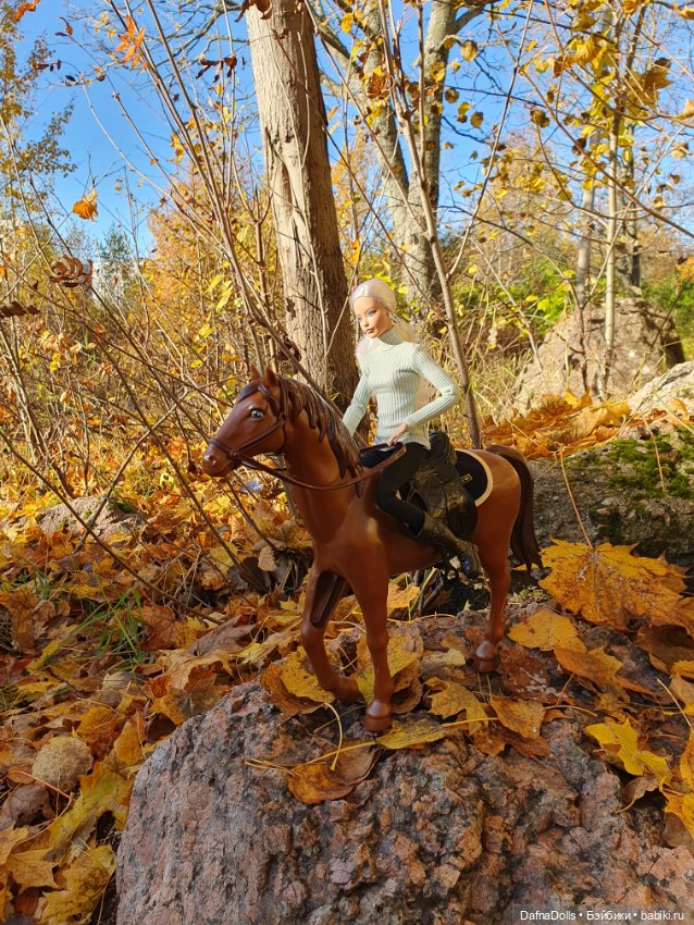 🐴 🍂🍁Конная прогулка и обзор на коня Defa Lusy (фото 10)