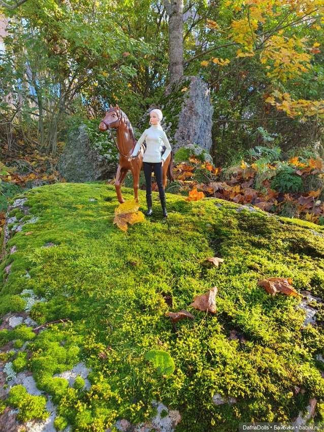 🐴 🍂🍁Конная прогулка и обзор на коня Defa Lusy