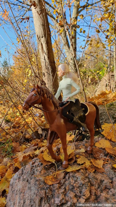 🐴 🍂🍁Конная прогулка и обзор на коня Defa Lusy (фото 8)