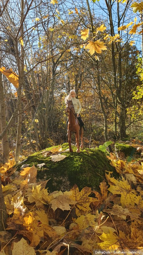 🐴 🍂🍁Конная прогулка и обзор на коня Defa Lusy