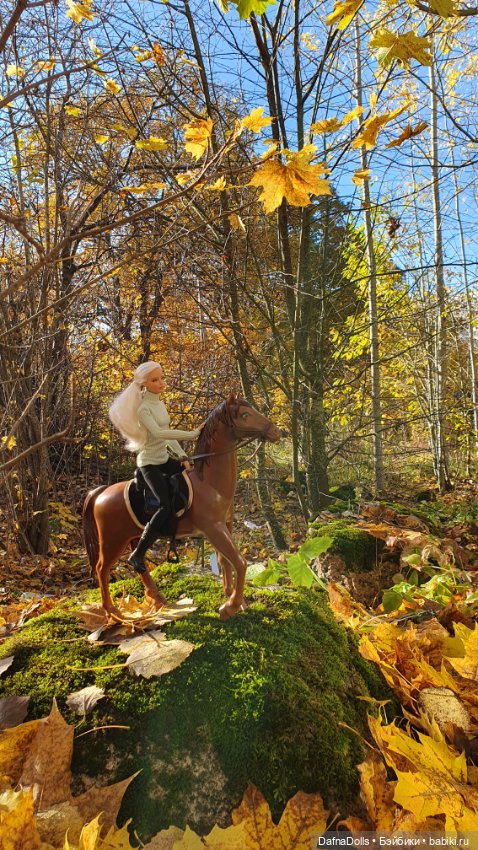 🐴 🍂🍁Конная прогулка и обзор на коня Defa Lusy