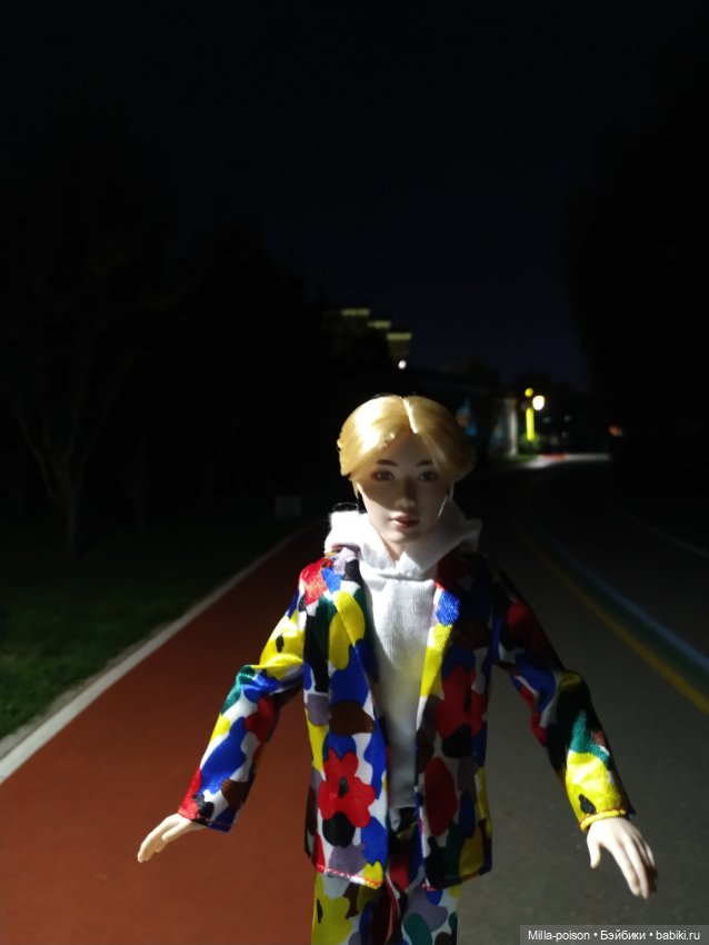 Вечерняя прогулка Сок Чжина (фото 6)