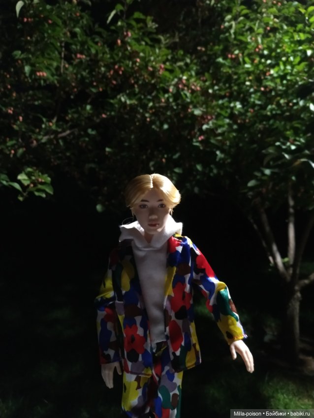 Вечерняя прогулка Сок Чжина (фото 3)