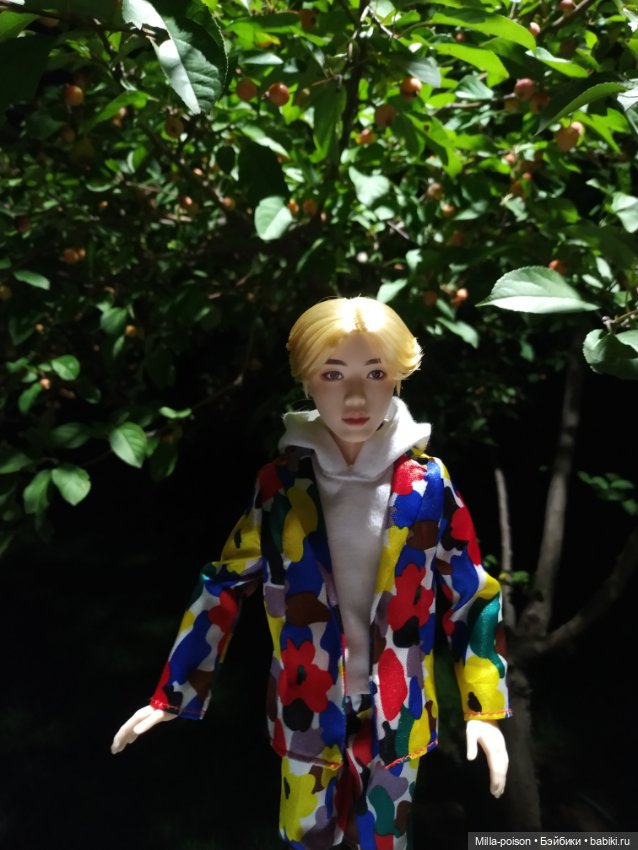 Вечерняя прогулка Сок Чжина (фото 5)