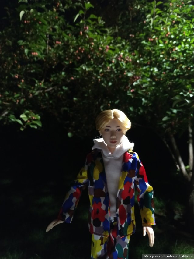 Вечерняя прогулка Сок Чжина (фото 4)