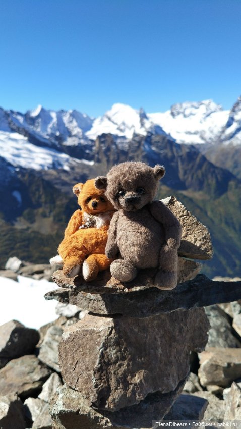 Фоксик и его друзья на Домбае (фото 6)