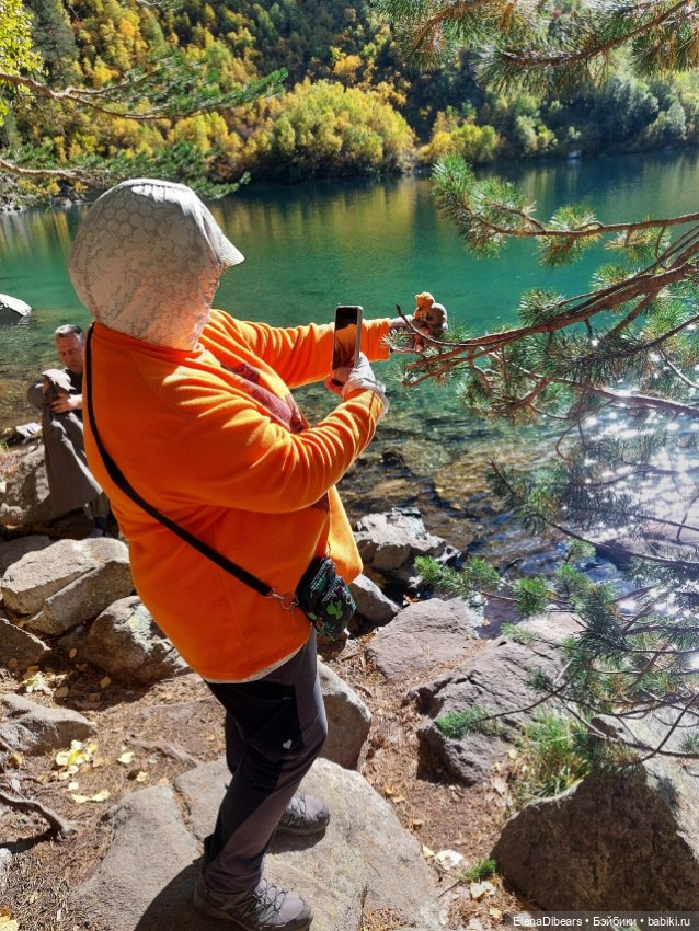 Фоксик и его друзья на Домбае (фото 2)
