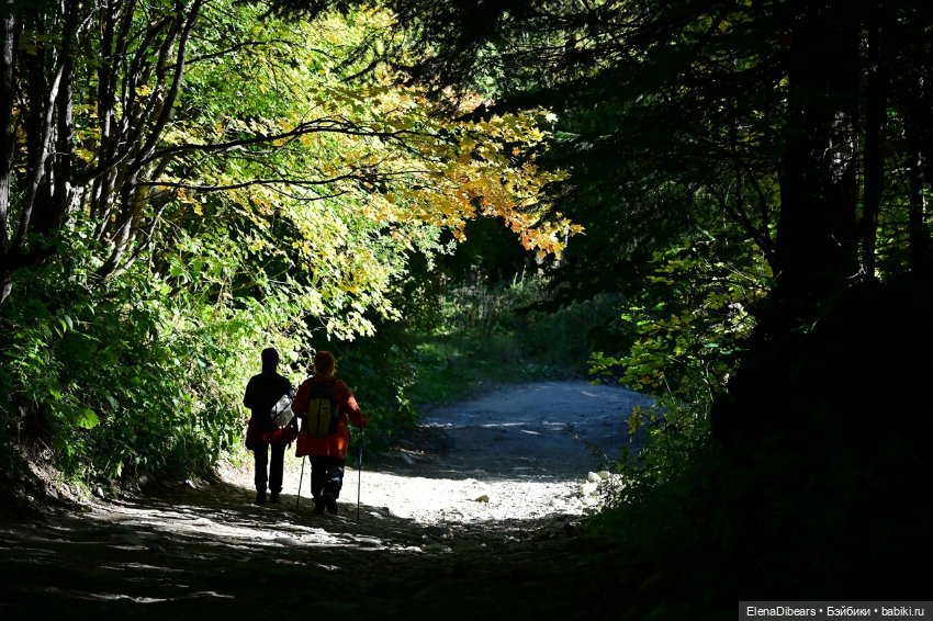 Фоксик и его друзья на Домбае
