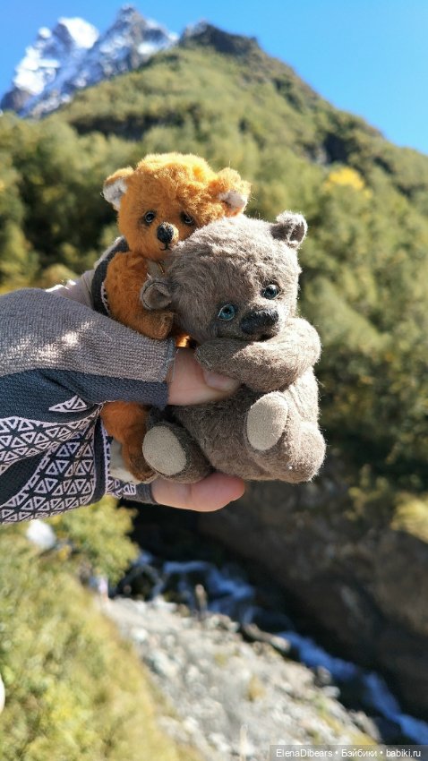 Фоксик и его друзья на Домбае (фото 4)