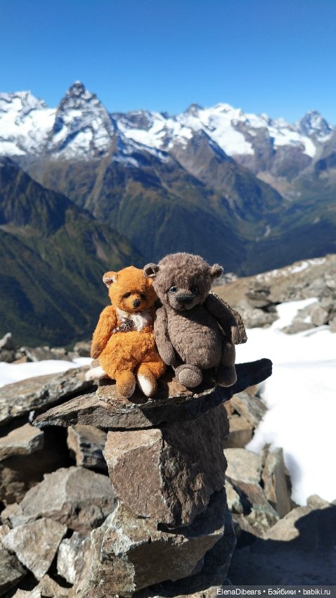 Фоксик и его друзья на Домбае (фото 10)