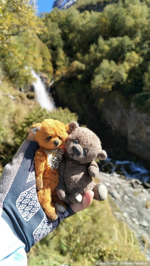 Фоксик и его друзья на Домбае (фото 5)