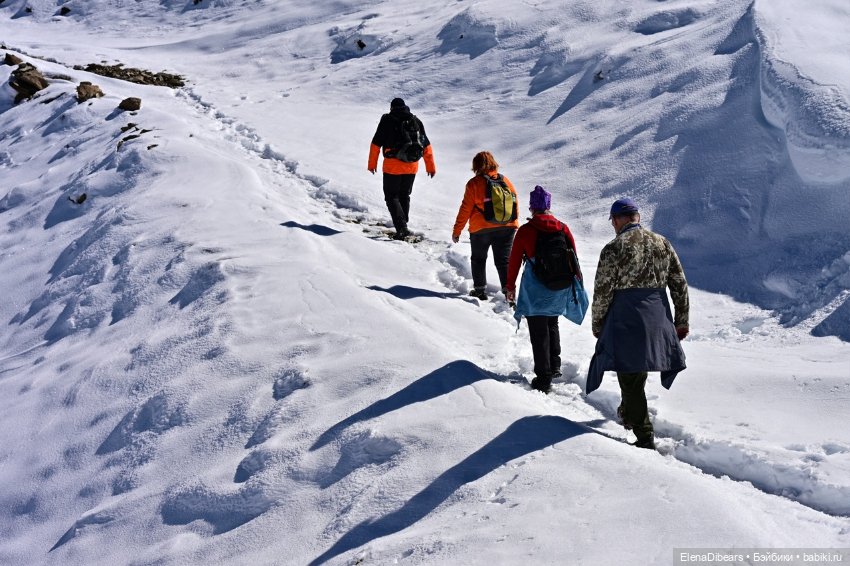 Фоксик и его друзья на Домбае