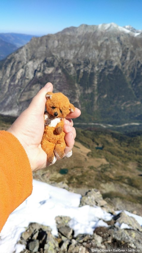 Фоксик и его друзья на Домбае (фото 3)