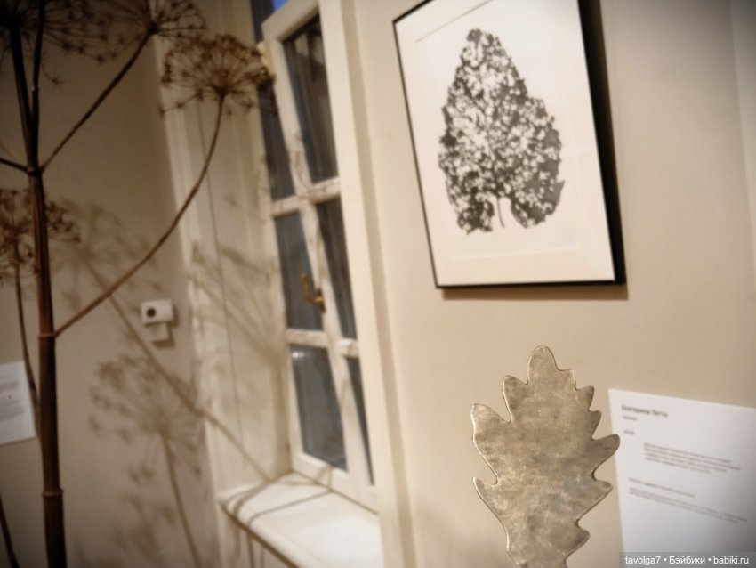 Выставка Трын-Трава 2025 — Культура (фото 6)