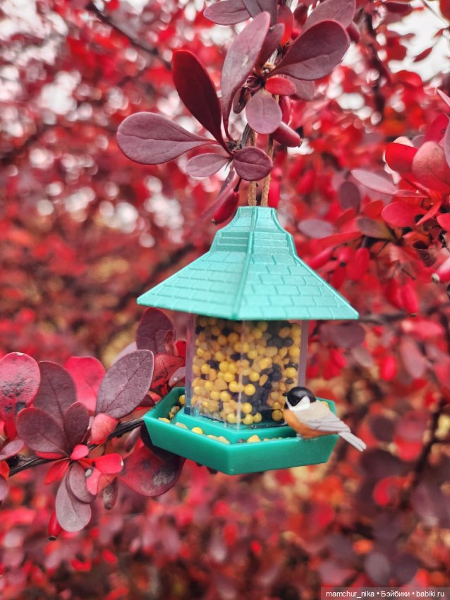 Осень напомнила душе о главном (фото 3)