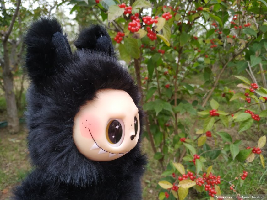 Ëнбок — Игрушки Labubu (Лабубу) и The Monsters: Pop Mart (фото 5)